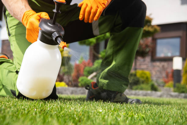 Trusted Sparta, WI Pest Control Experts