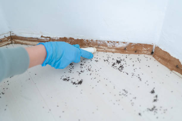 Best Wildlife Control Services  in Sparta, WI