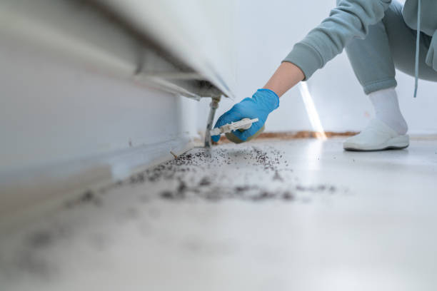 Best Bed Bug Extermination  in Sparta, WI